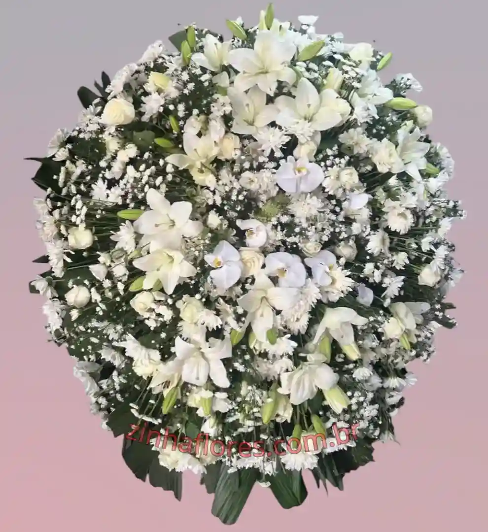 NOBRE 2 Nobre B - Imagem 1